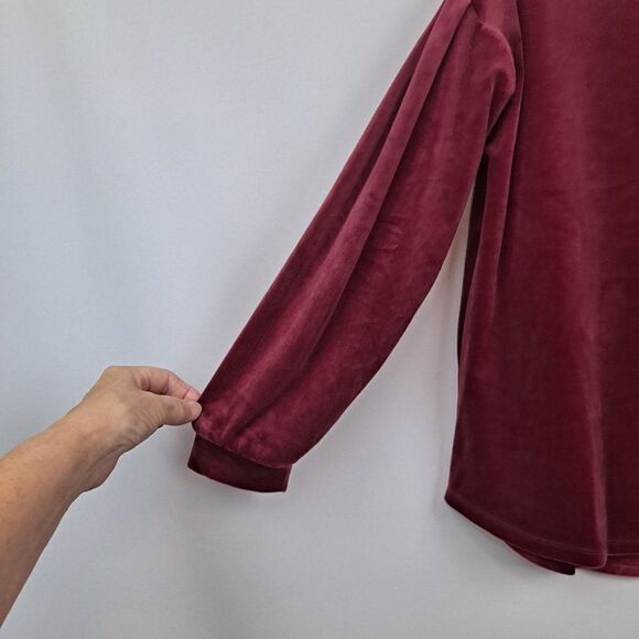 Gap Ladies Pullover velveteen top NWOT - Picture 3 of 11